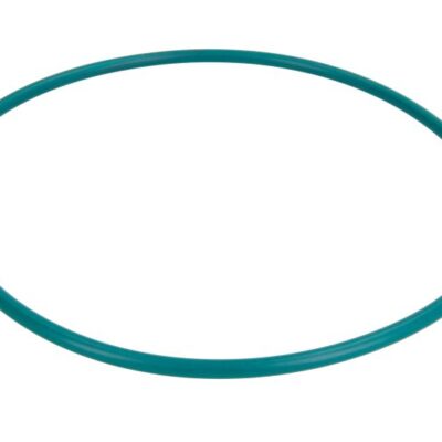 Zaptivni prsten 1102220-IPD
