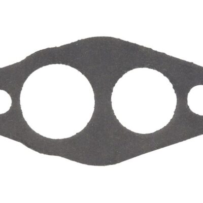 Dihtung pumpe goriva 2941820-FP