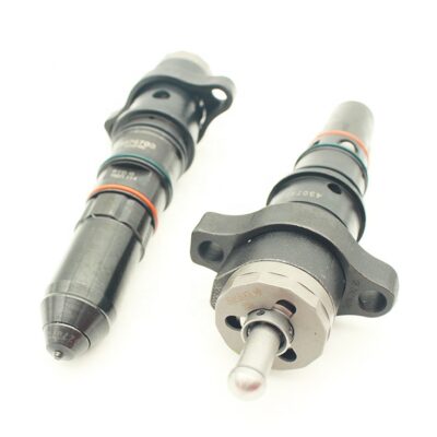 Injektor Cummins motori KTA19C 3016675