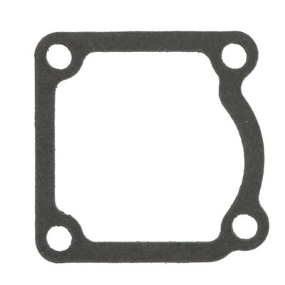 Dihtung kucista termostata 4256407-FP