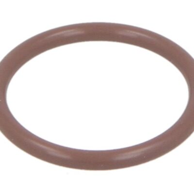 Zaptivni prsten 6V1903-IPD