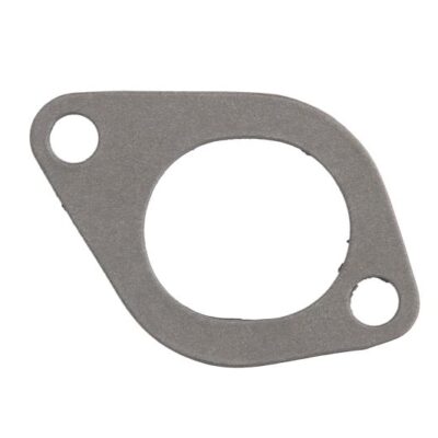 Dihtung usisne grane AJU13023600