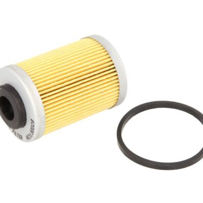 Filter za ulje BS03-173