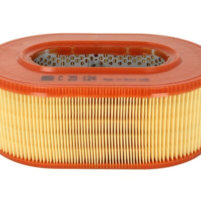 Filter za vazduh C 25 124