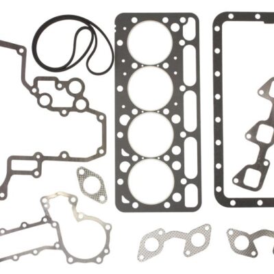 Set dihtunga motora ENT000056