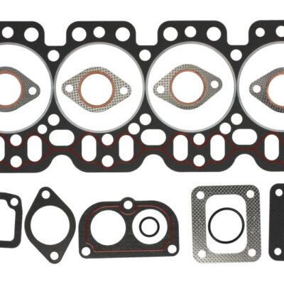 Set dihtunga motora ENT000258