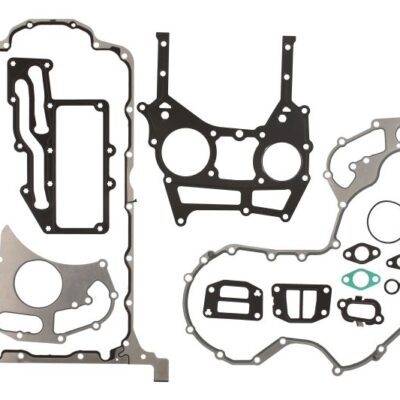Set dihtunga motora ENT000413