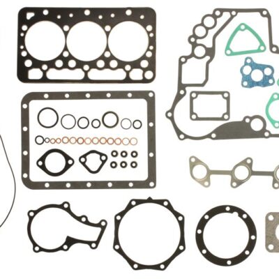 Set dihtunga motora ENT000506