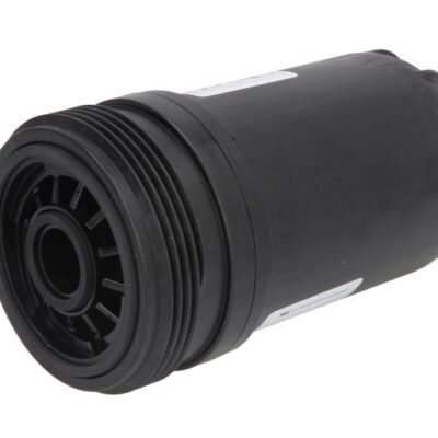 Filter goriva FF63009