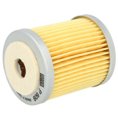 Filter goriva P 609
