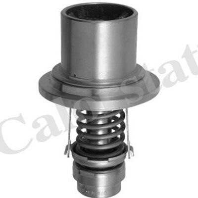 Termostat THS13555.82